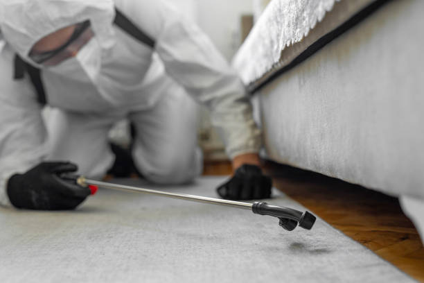 Professional Termite Control technician working in Voorheesville, NY