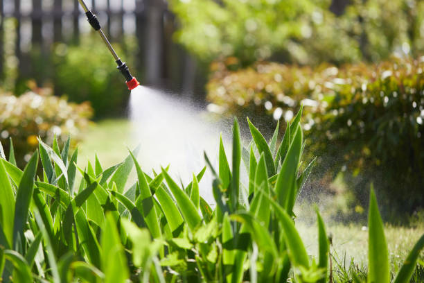24/7 Emergency Termite Control experts in Voorheesville, NY